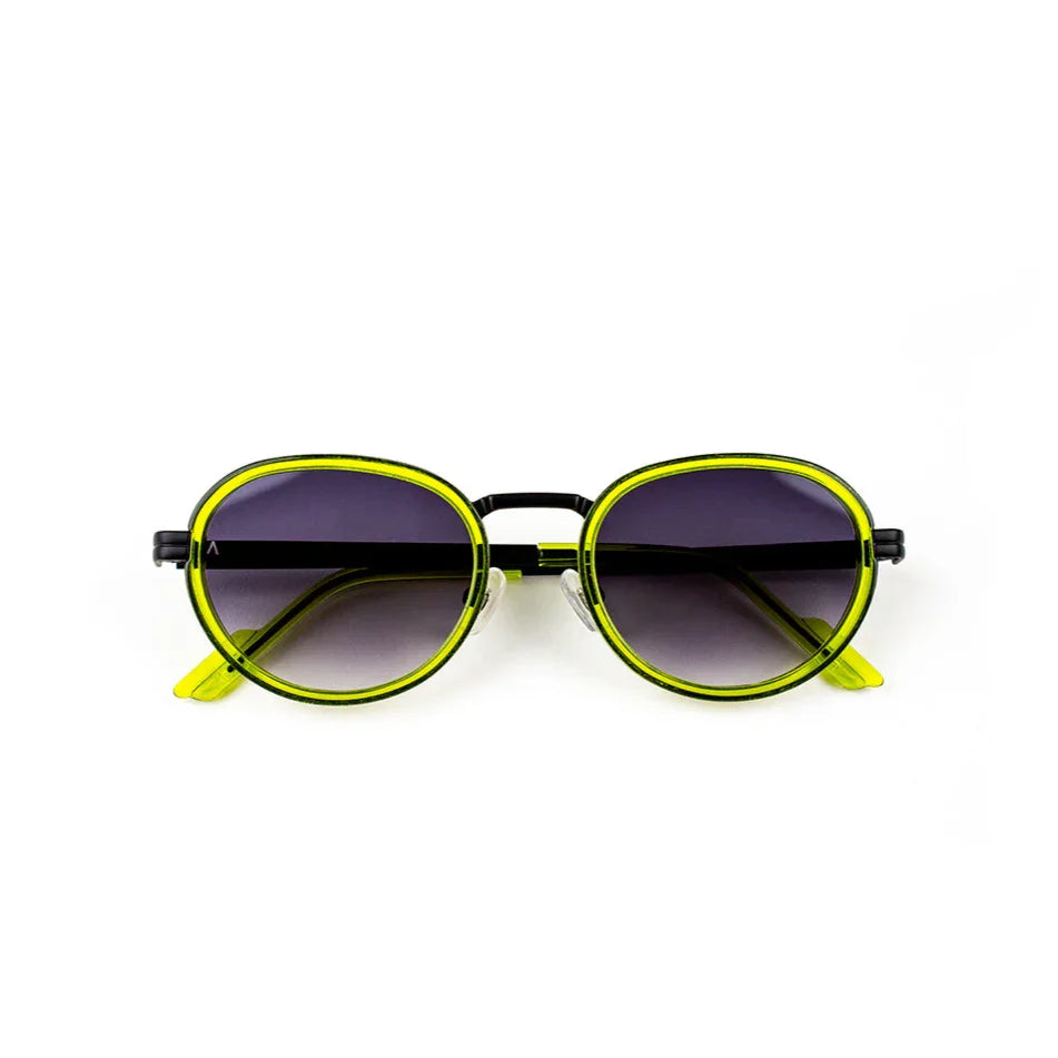 Adam Young Eyewear şık güneş gözlüğü AD 018 siyah ve sarı çerçeveli yuvarlak model
