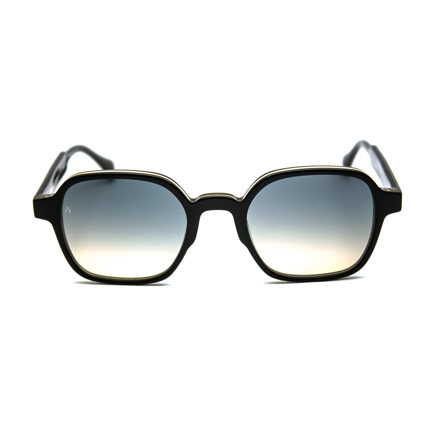 Adam Young Eyewear Siyah Çerçeveli Güneş Gözlüğü ile Şık ve Modern Görünüm