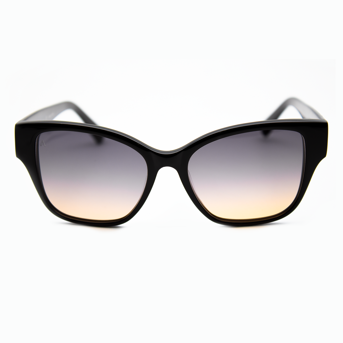 Adam Young Eyewear Güneş Gözlüğü, Şık Siyah Çerçeve ve Gradyan Lens Tasarımı ile